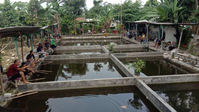 Kolam pemancingan 